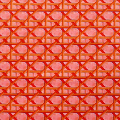 Détail du motif et de la texture du tissu Cannage corail